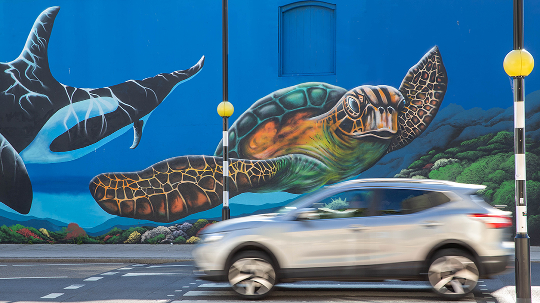 Car driving past a large sealife mural